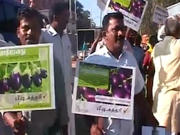 Seek mental help: Jairam to Bt brinjal protester Seek mental help: Jairam to Bt brinjal protester