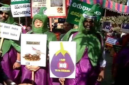 Bt Brinjal debate: PM's Balancing Act