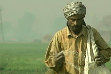 Urea price hike upsets farmers