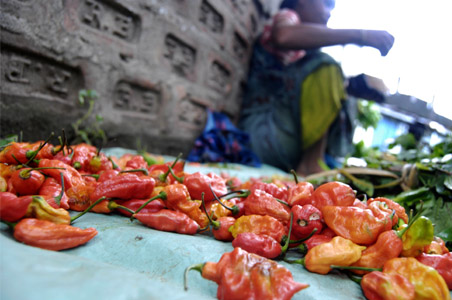 World's hottest chilli in a hand grenade