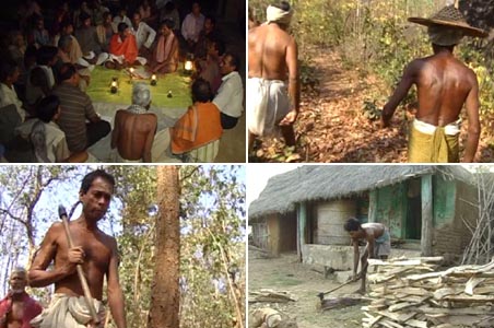 Orissa villagers unite against timber mafia