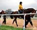 Bangalore Turf Club asked to move in 6 months