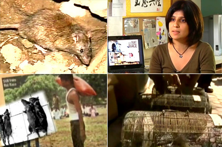 Mumbai 'Rat Race' at Cannes