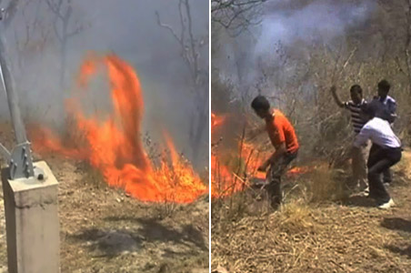 Fire rages for 2nd day at Rajaji National Park
