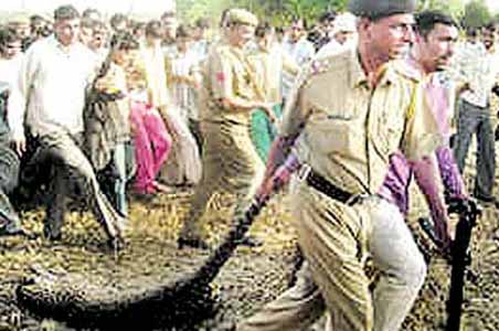 Leopard shot dead in Haryana, activists cry foul