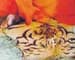 Seized tiger pelt could spell more trouble for Sex Swami
