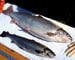 Genetically altered salmon get closer to the table