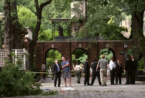 New York: Falling branch kills baby at the Central Park Zoo