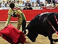End of an era: Spanish region bans bullfighting