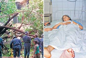 Tree falls on 12-year-old outside Mumbai school 