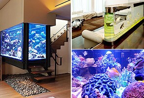 Long Island Custom Aquariums – Aquarium Network – Custom Aquariums