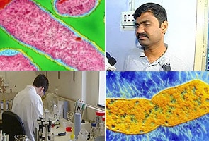 Did superbug really originate in India?