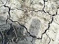 Parts of Bihar, Jharkhand drought-hit