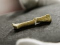 67,000-year-old human bone found