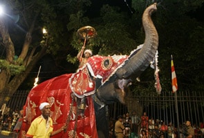 Tamil Nadu may ban 'blessings' by temple elephants