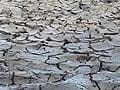 Jharkhand faces severe drought, no rain for a month