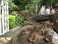 Tree collapses in Mumbai GPO ground