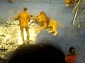 Circus suspends popular show after lion attacks trainer