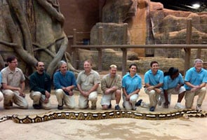 Longest snake living in captivity dies in US zoo
