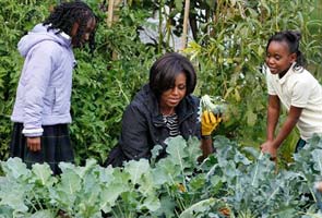 Michelle Obama's not so secret garden