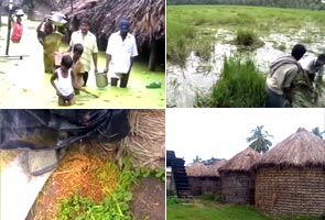 Cyclone 'Jal' claims five lives in Andhra Pradesh