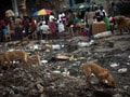 UN appeals for $164 million to combat Haiti cholera