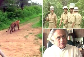 Tiger poisoned, Jairam Ramesh rushes to Sariska