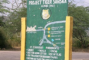 Setback in Sariska as translocated tiger found dead