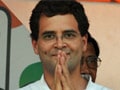 WikiLeaks on Rahul: Congress suspects conspiracy