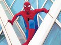 Spiderman lands in Gurgaon