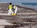 US sues BP, 8 other companies in Gulf oil spill
