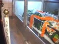 Trinamool worker killed in Lalgarh, body brought to Kolkata