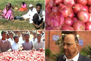 Commerce Ministry orders import of onions from Pakistan