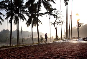 At Coorg coffee plantations, history and hospitality