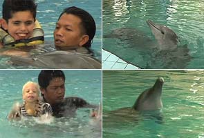 Dolphins help children with disabilities