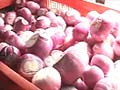 Govt not in a hurry to resume onion export: Thomas