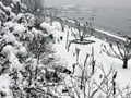 Kashmir receives fresh snowfall, avalanche warning issued