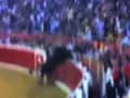Bull jumps into audience arena at bull fight