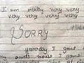 11-year-old in Mumbai kills herself over her diary