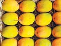Not enough mangoes this summer?