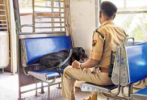 RPF dog has first right to seat in disabled compartment