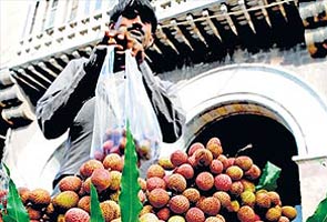 Lychees 'take flight', prices to follow suit