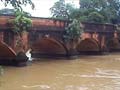 Five dead in Orissa flash floods
