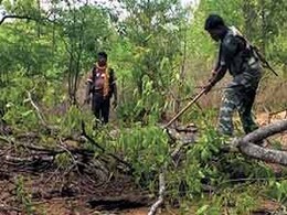 CG Election: चुनाव से एक दिन पहले नारायणपुर में नक्सलियों ने प्लांट किया IED बम, धमाके में एक जवान घायल CG Election: चुनाव से एक दिन पहले नारायणपुर में नक्सलियों ने प्लांट किया IED बम, धमाके में एक जवान घायल