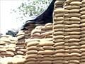 Fresh grain harvest finds no storage in Punjab