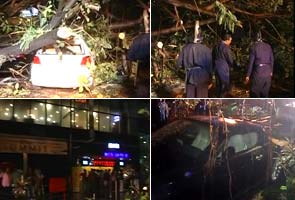 Mother, infant girl killed as tree falls in south Mumbai