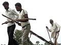 In Vidarbha, poverty drives father to use sons to till his land
