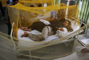 Dengue claims 36 lives in Lahore