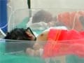 10 infants dead in 48 hours at Andhra hospital