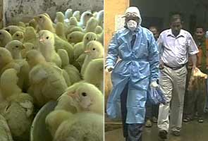 Bird Flu case confirmed in West Bengal 